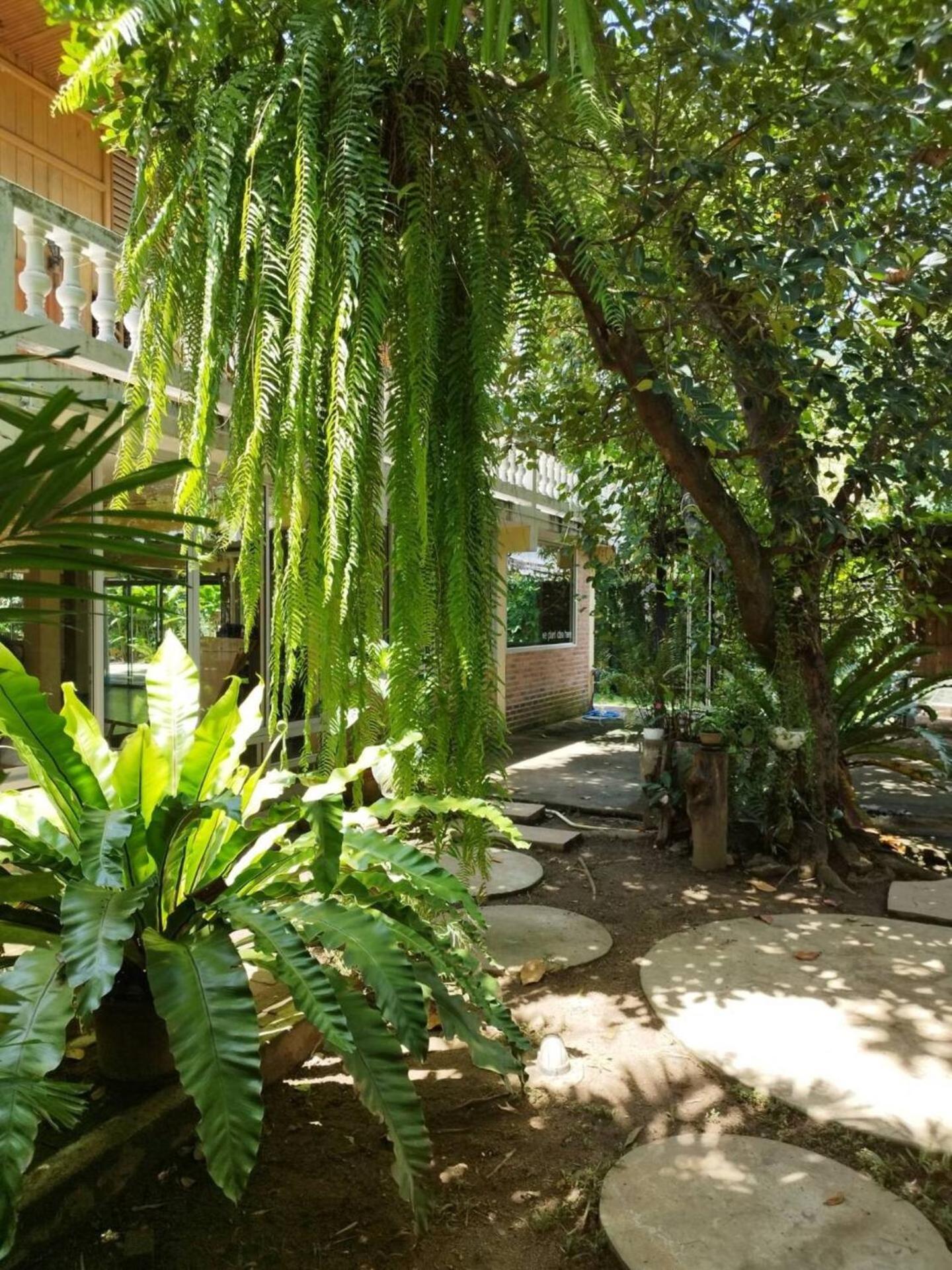 Hotel Atelier 36 Chiang Mai Esterno foto